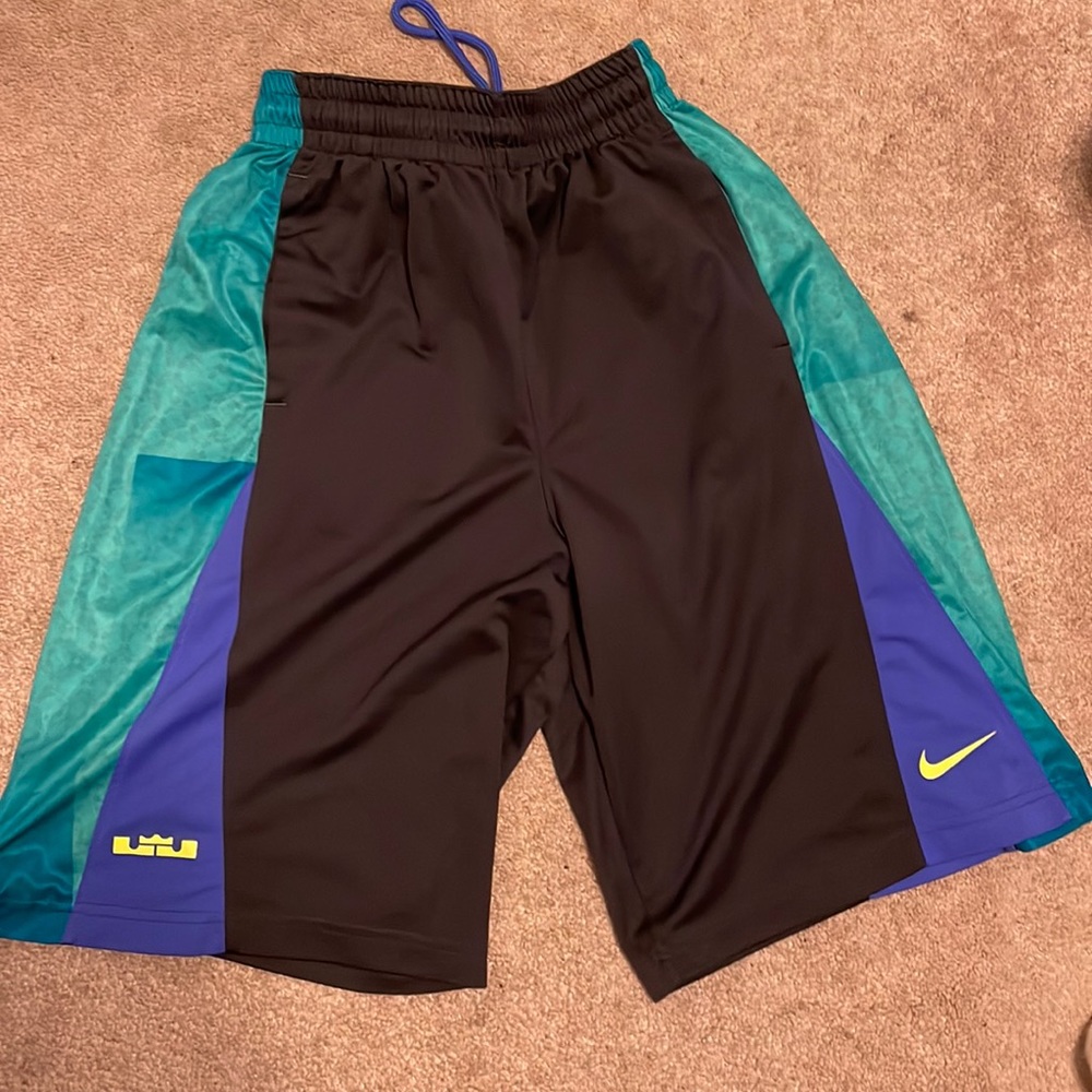Nike Lebron Dri-Fit Basketball Shorts